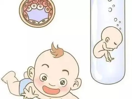 上海好柿花生供卵中心:供卵服务的隐私保护