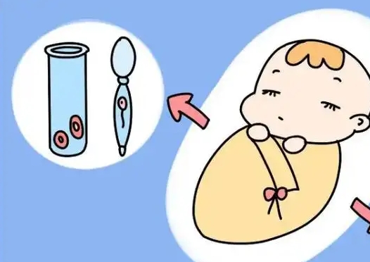 好柿花生上海:试管婴儿服务的法律保障