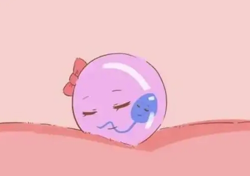 上海好柿花生:试管婴儿费用,透明合理