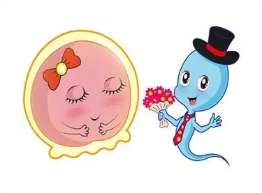 上海好柿花生借卵中心:借卵中心如何保障权益?