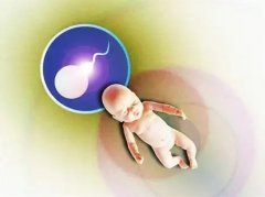 上海助孕中心供卵生孩子哪家机构靠谱？